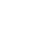 wallet_icon